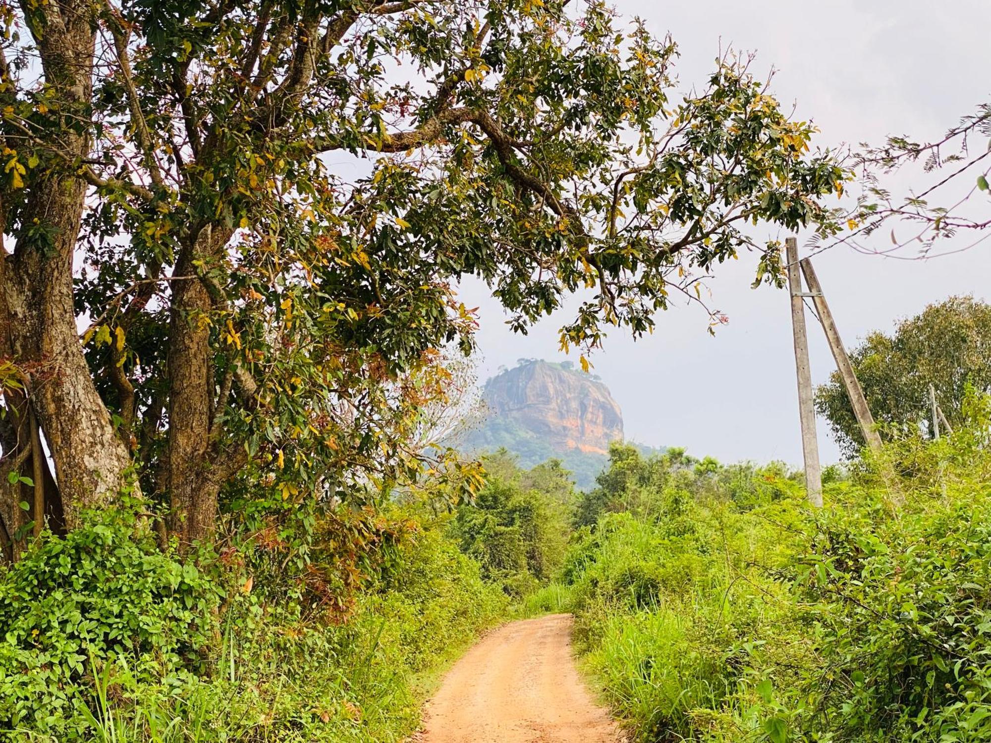 Hotel Sigiriya Kele Exterior photo
